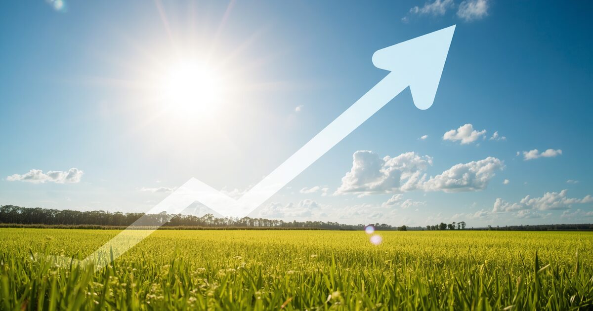 Fuel Price Forecast UK 2026: Will Prices Drop This Summer?